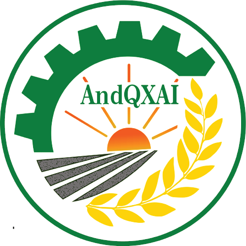 University Logo